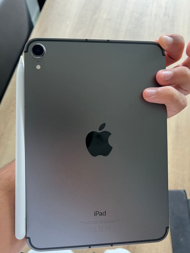 iPad mini 6 SIM (64GB) (Gris/Plata)