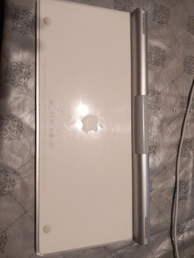 Apple Magic Keyboard Plata