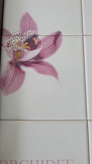 Vassoio in legno e ceramica con orchidee