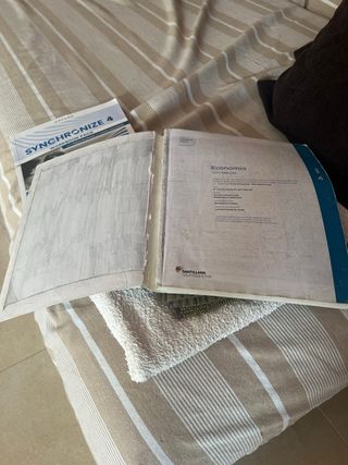 ECONOMIA SERIE ANALITZA 4 ESO SABER FER