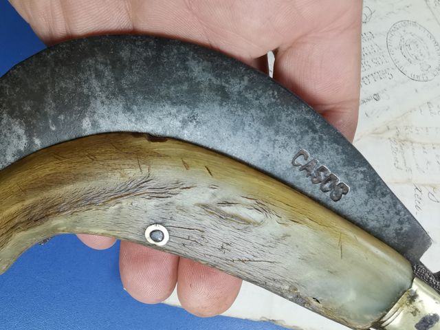 Museruola dal taglio vecchio