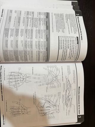 Netter Cuaderno de anatomía para colorear (2ª ed.)