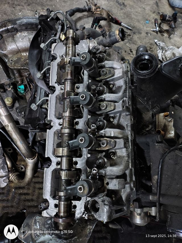 Despiece Renault tráfic 1.9 cdi