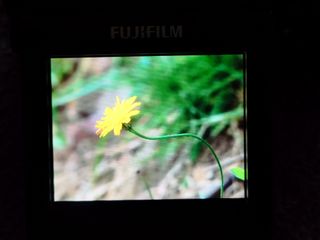 Cámara Fujifilm Finepix S100FS y accesorios