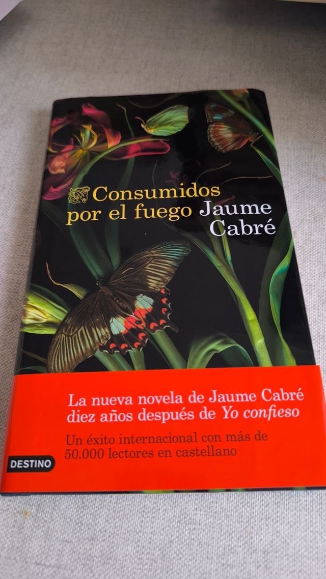 Consumidos por el fuego (Áncora & Delfín)