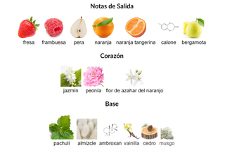 MISS CHIC - ARMAF - Perfume Mujer