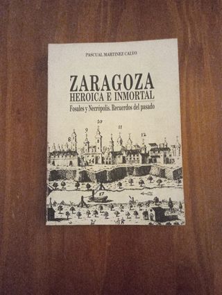 Zaragoza heroica e inmortal: fosales y necrópol...