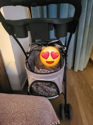 Carrito para perro gris y multicolor nuevo