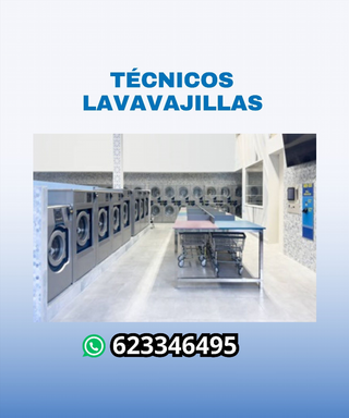 Técnico eficaz de lavavajillas industria