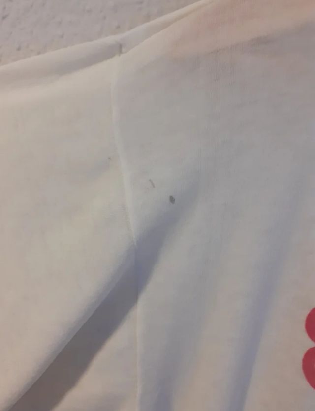 Maglietta Extremoduro We Are Some Animals 90'