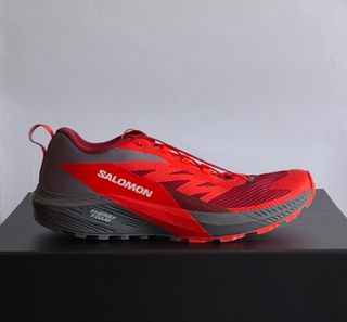 T43 - Salomon Sense Ride 5 - Gris/Rojo