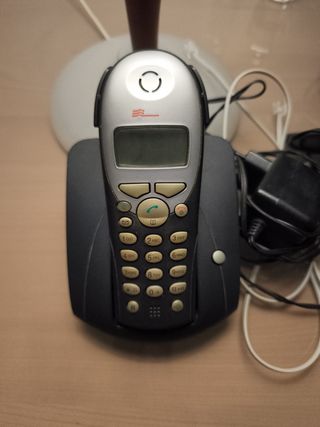 2 Telefoni Cordless Linea Fissa 