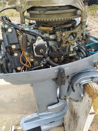 Fueraborda Evinrude 35cv