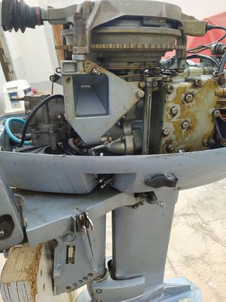 Fueraborda Evinrude 35cv
