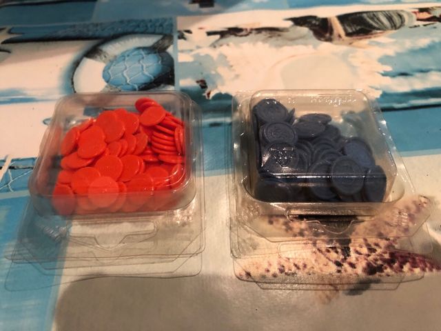 Bingo Loto Automático