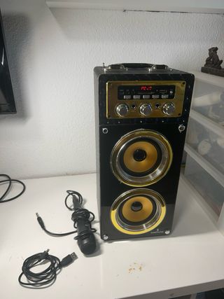 Altavoz Karaoke Negro y Dorado.