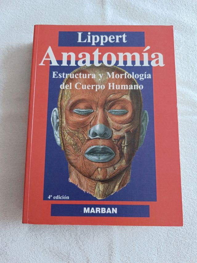 Anatomia.  Lippert