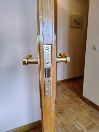 Puerta 72,5x202,5cm de madera acristalada 