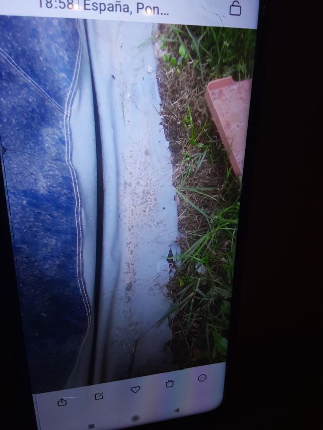 Tienda Cocina Hosa Florida 250x150