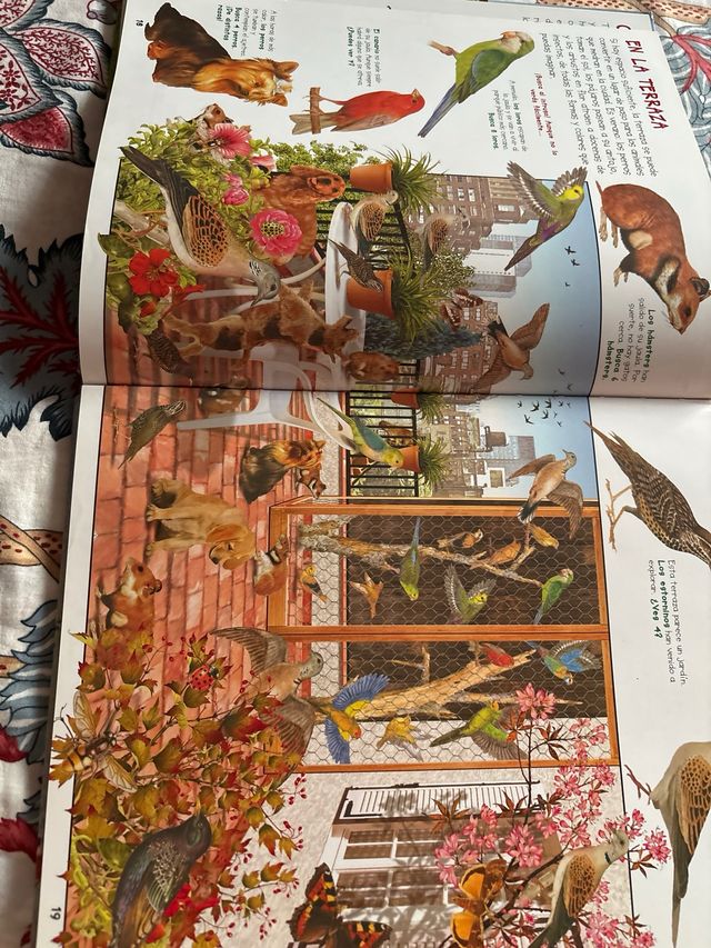 Busca los animales de tu ciudad