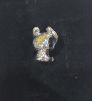 Charm de plata
