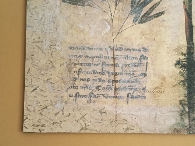 Cuadro decorativo floral