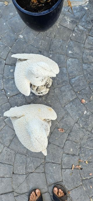 Esculturas de Águilas de Piedra (2 disponibles)