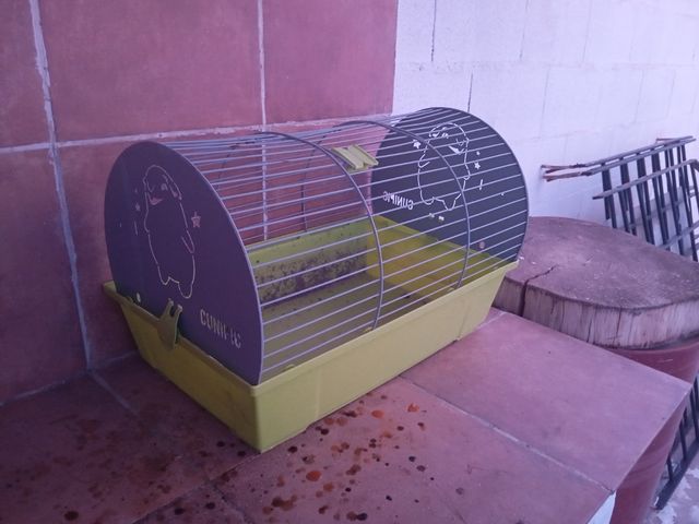 Jaula para cobayas nueva,está sucia pero está nuev
