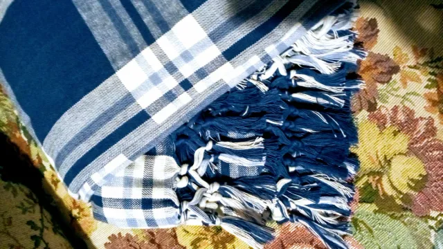 Tovaglia a quadri blu e bianca