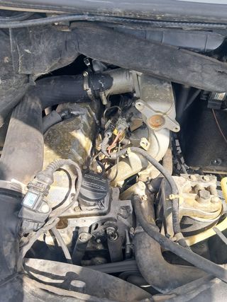 Sprinter 310D