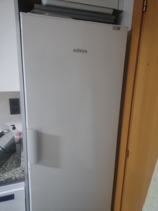 Nevera Edesa 1,85m (sin congelador)
