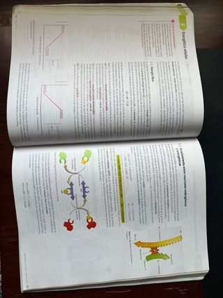 Biología. 2 Bachillerato. Savia