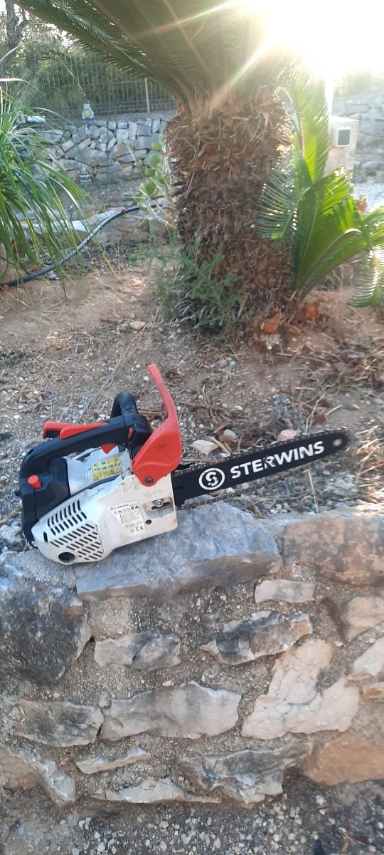 Sega a catena da potatura -per riparazione-