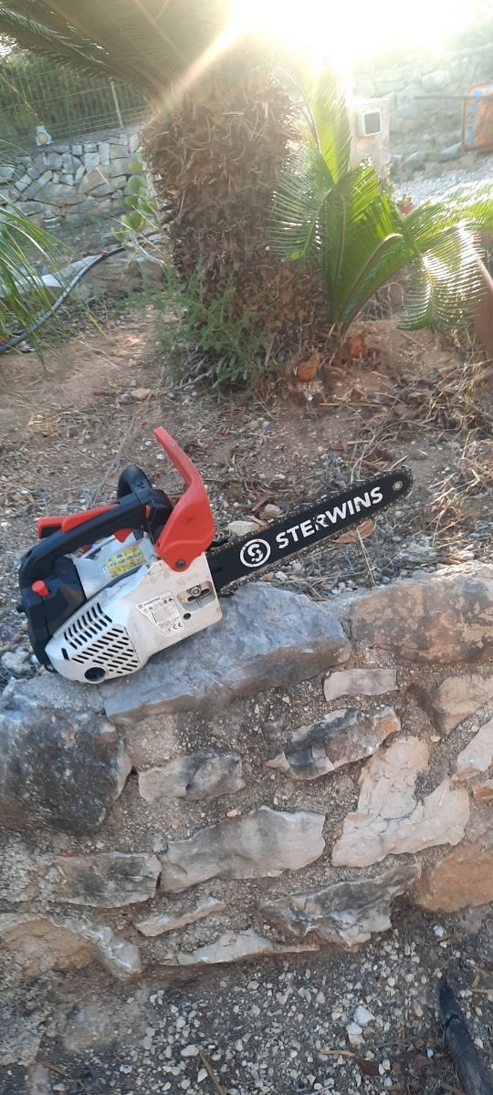 Sega a catena da potatura -per riparazione-