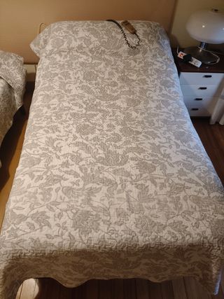 Cama articulada eléctrica Fibermaster con colchon