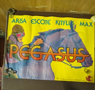 POSTER GRUPO PEGASUS.VINTAGE.ARISA