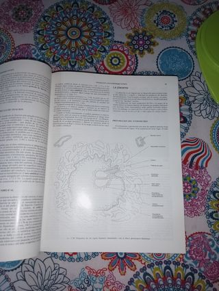 Tratado de anatomía (12 edición)