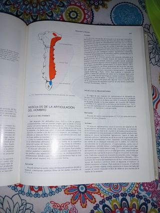 Tratado de anatomía (12 edición)