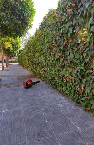 Jardinero económico