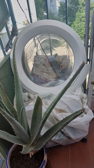 Puerta Lavadora Bosch 6kg