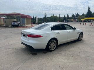 Jaguar XF 2016 v6 300cv