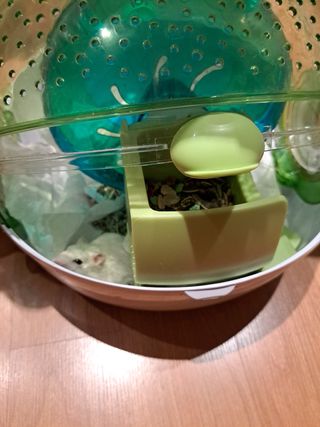 Jaula completa de Hámster, hábitat ovo con Tub