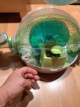 Jaula completa de Hámster, hábitat ovo con Tub