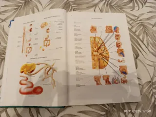 Enciclopedia de Fisioterapia