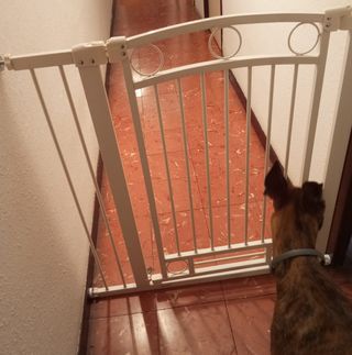 Barrera de seguridad para perros PawHut
