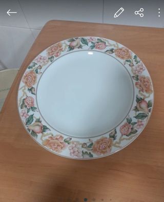 Platos de Porcelana con Diseño variados.