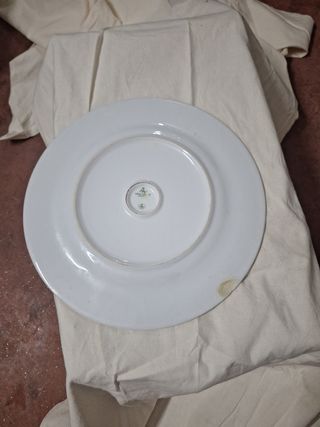 Platos de Porcelana con Diseño variados.