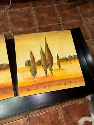 Dos cuadros decorativos