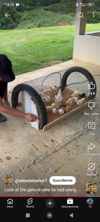 Palés grandes madera