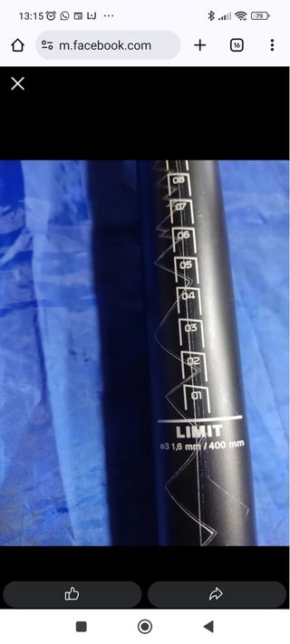 Reggisella Ready For Race